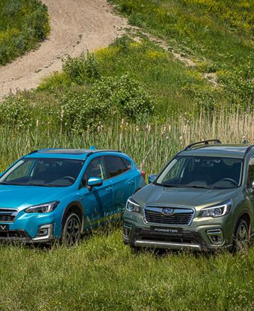 Forester and XV_low-010-27351
